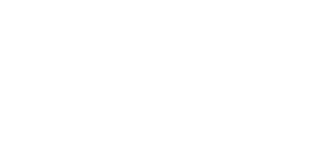 Company outline